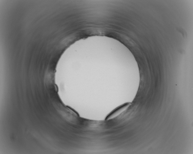 X0000113290096200910131035