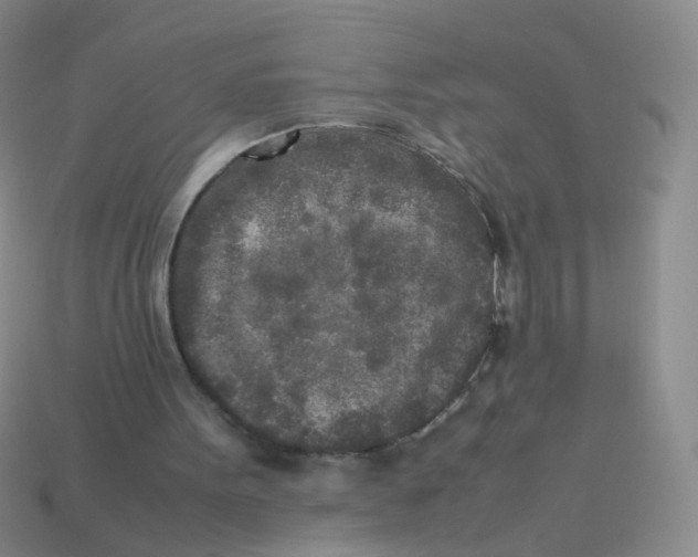 X0000113290099200910131034