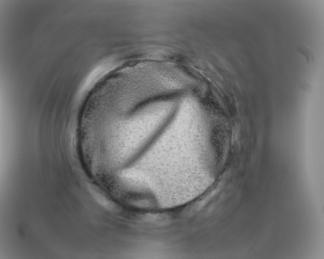 X0000113290101200910131034