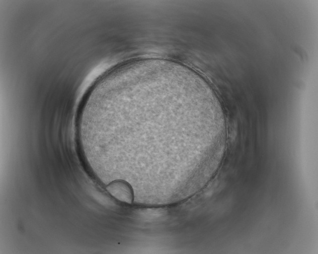 X0000113290102200910131034