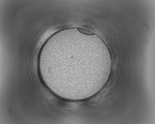 X0000113290103200910131034