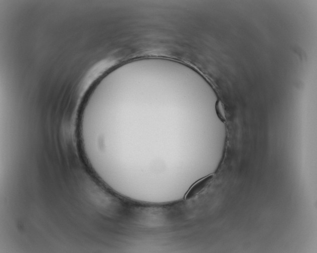X0000113290104200910131034