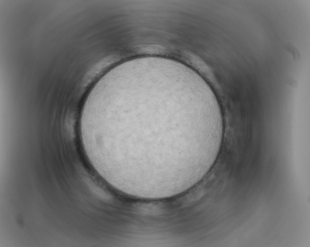 X0000113290106200910131034
