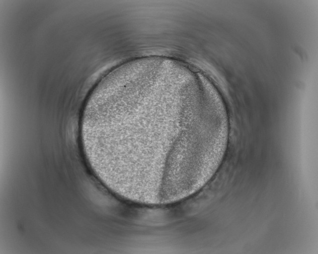 X0000113290107200910131034