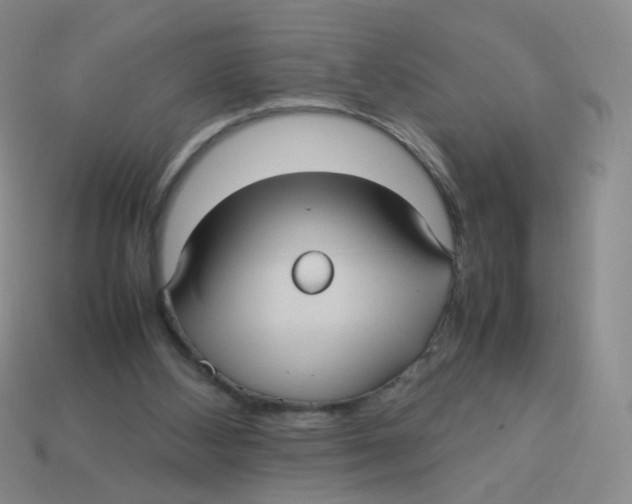 X0000113290108200910131034