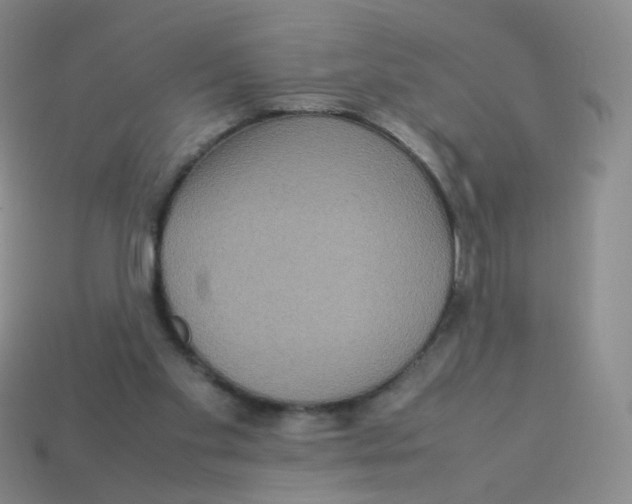 X0000113290109200910131034