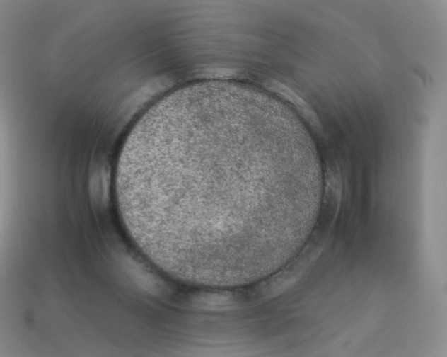 X0000113290110200910131034