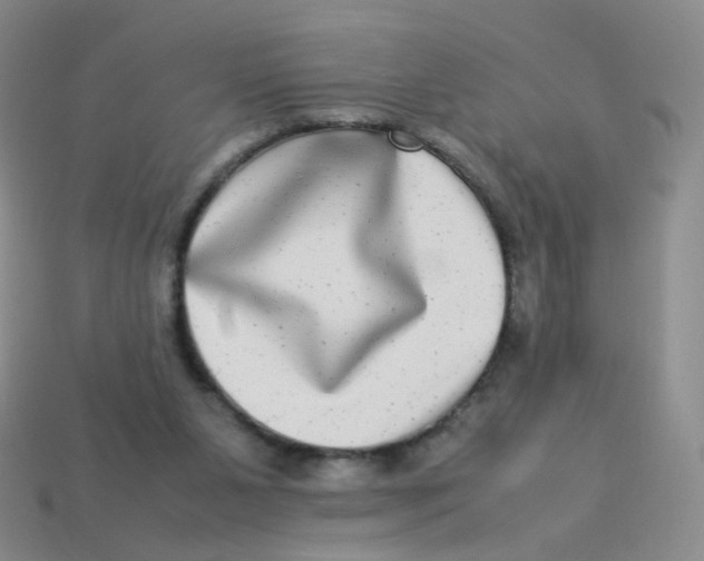 X0000113290111200910131034