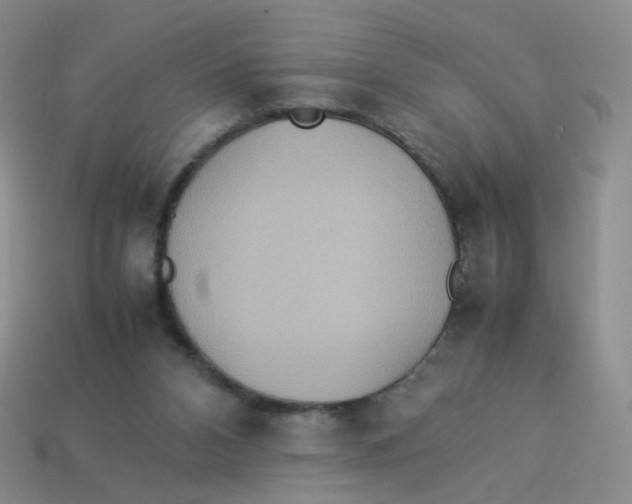 X0000113290112200910131034