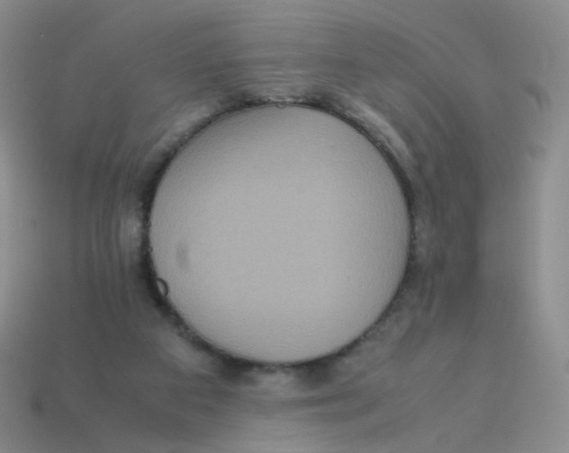 X0000113290113200910131034