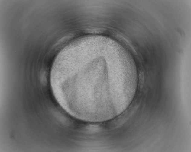X0000113290114200910131034
