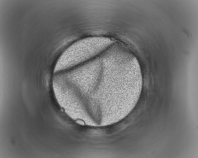 X0000113290115200910131034