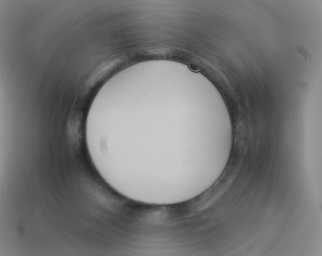 X0000113290116200910131034
