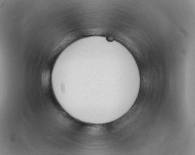 X0000113290118200910131034