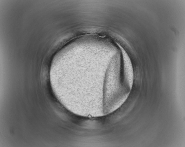 X0000113290119200910131034
