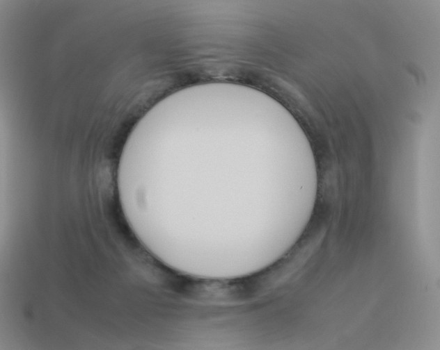 X0000113290121200910131034