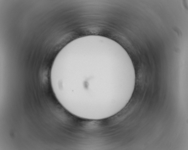 X0000113290122200910131034
