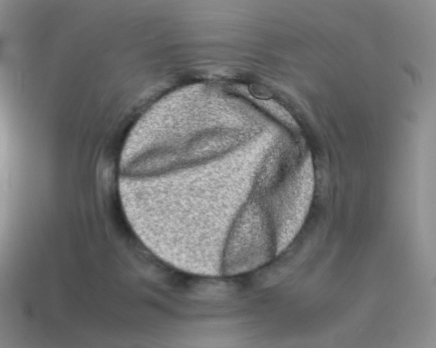 X0000113290123200910131034