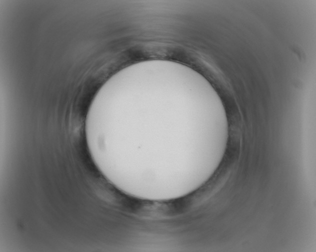 X0000113290125200910131034