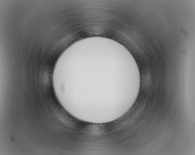 X0000113290126200910131034