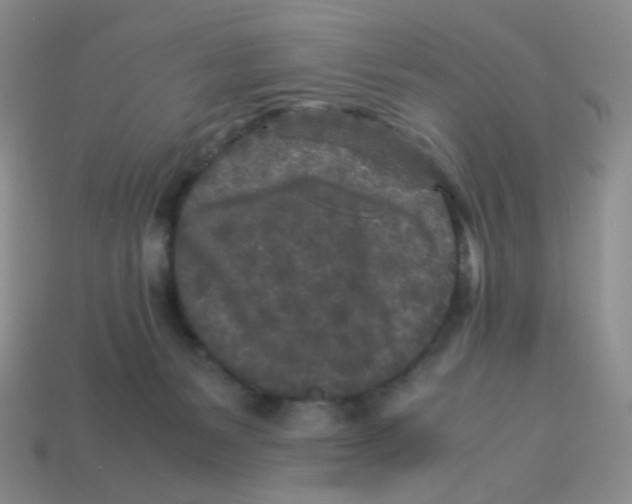 X0000113290127200910131034