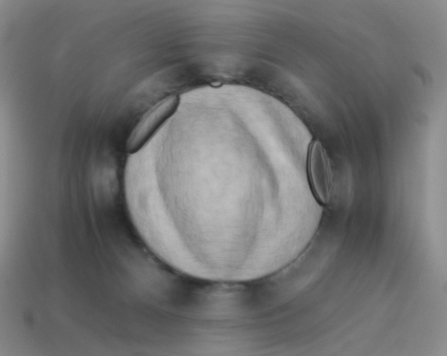 X0000113290128200910131034