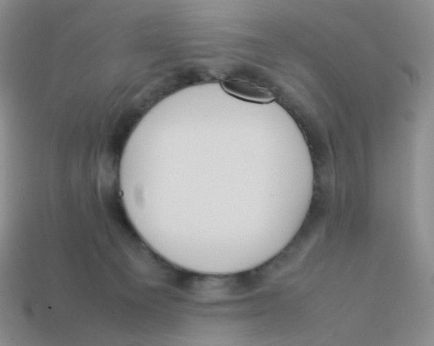 X0000113290129200910131034