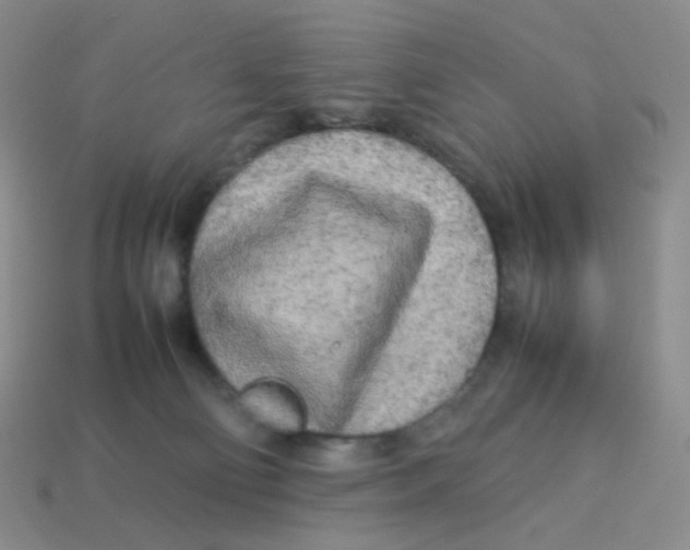 X0000113290130200910131034