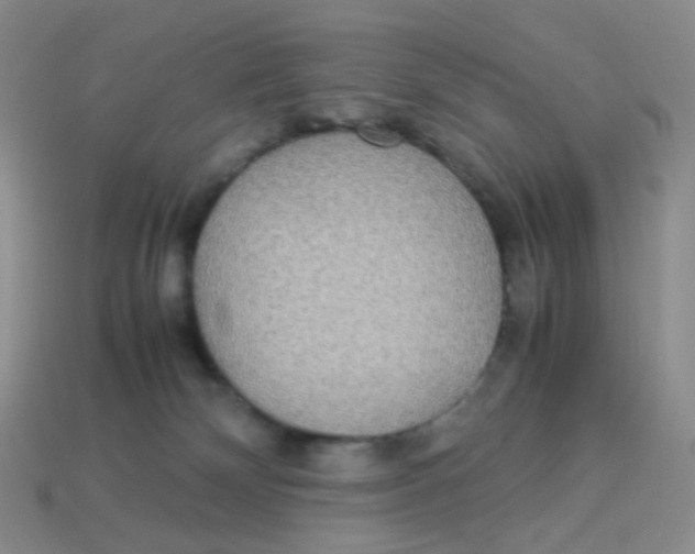 X0000113290132200910131034