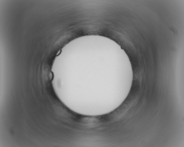 X0000113290133200910131034