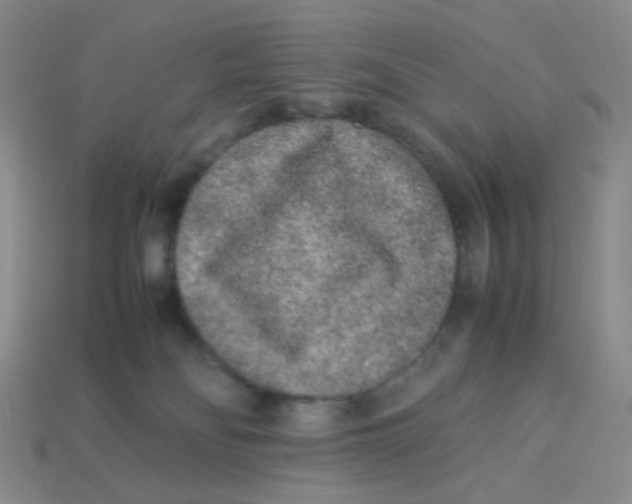 X0000113290134200910131034