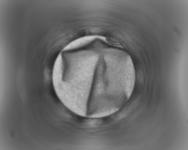 X0000113290135200910131034