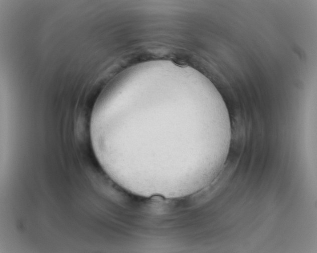 X0000113290136200910131034