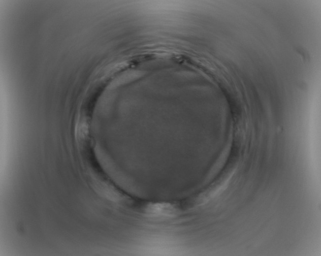 X0000113290137200910131034