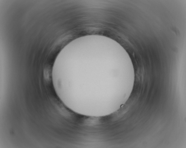 X0000113290138200910131034