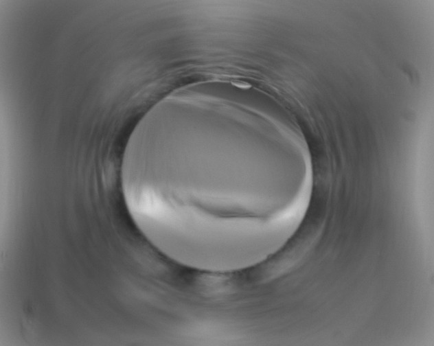 X0000113290139200910131034
