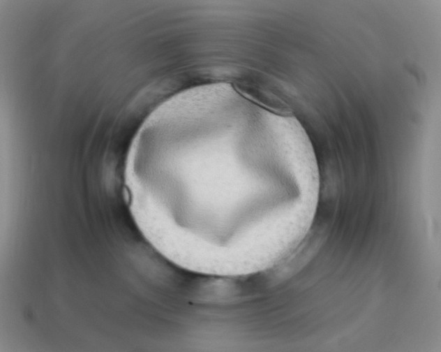 X0000113290140200910131034
