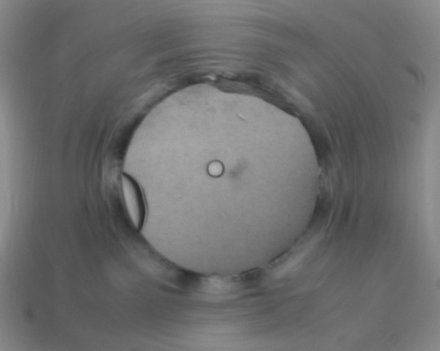 X0000113290141200910131034