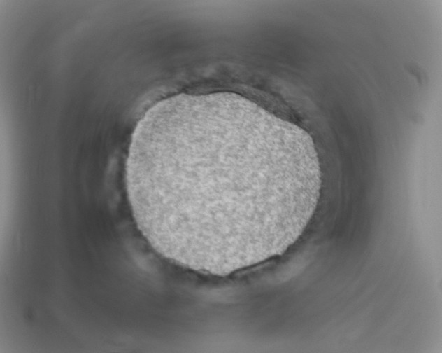 X0000113290144200910131034