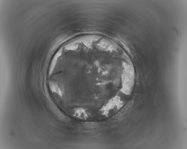 X0000113290145200910131033