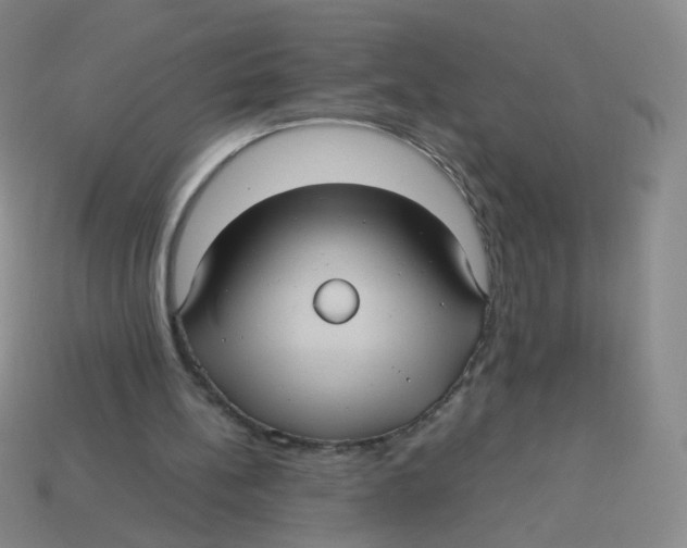 X0000113290148200910131033