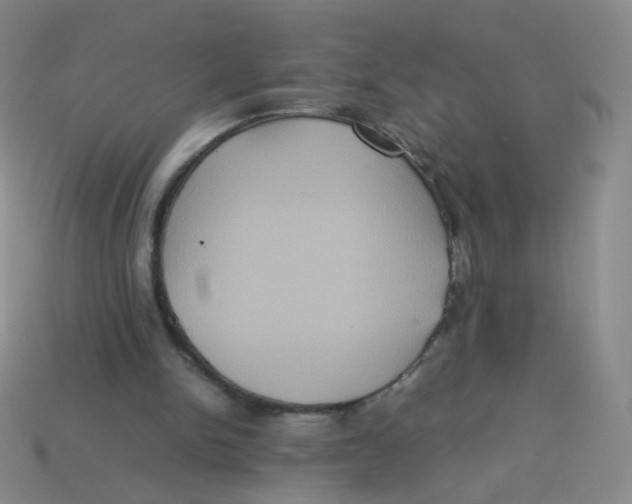 X0000113290150200910131033
