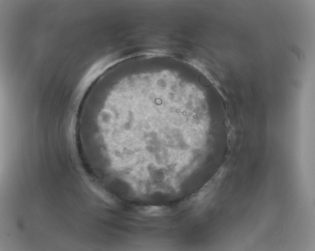 X0000113290151200910131033
