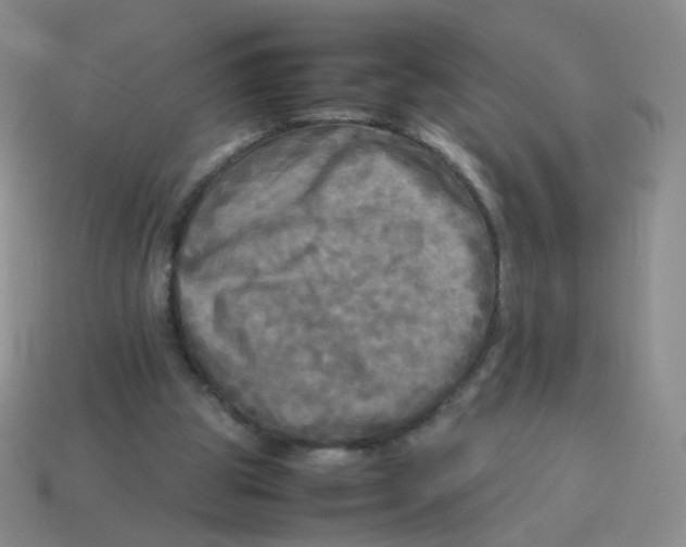 X0000113290153200910131033
