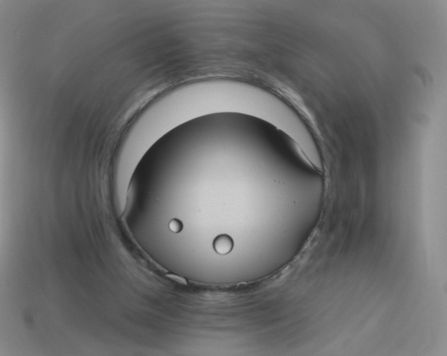 X0000113290154200910131033