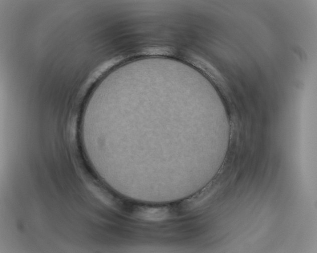 X0000113290155200910131033