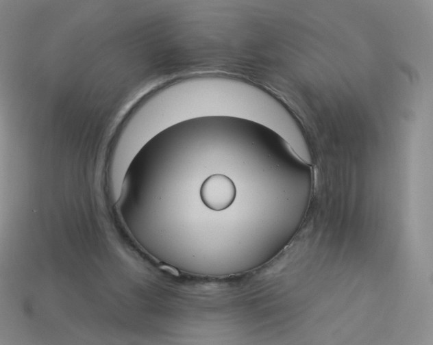 X0000113290156200910131033
