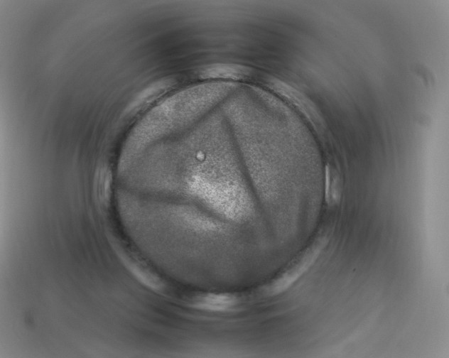 X0000113290157200910131033