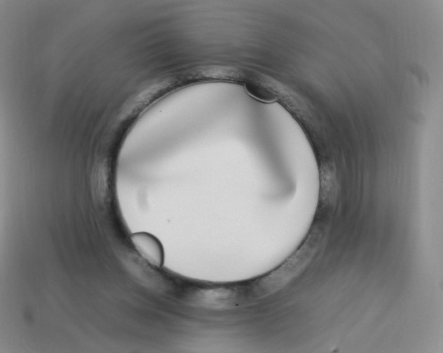 X0000113290158200910131033