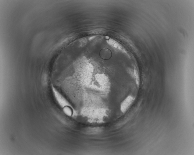 X0000113290161200910131033